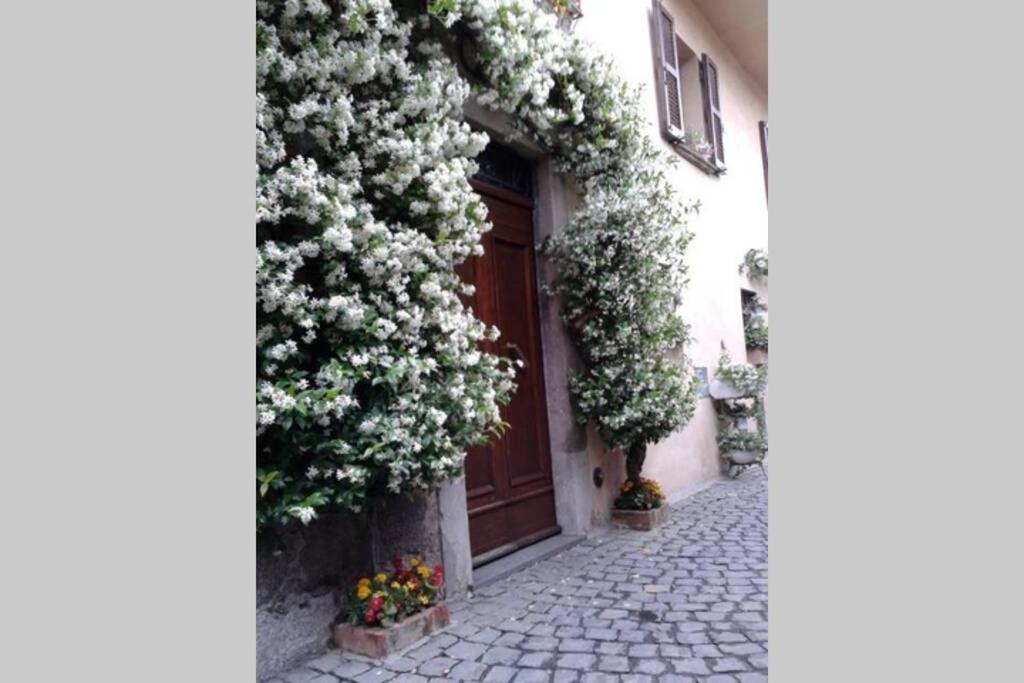 Il Gelsomino Di Isia Villa Orvieto Buitenkant foto