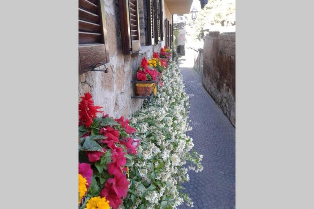 Il Gelsomino Di Isia Villa Orvieto Buitenkant foto