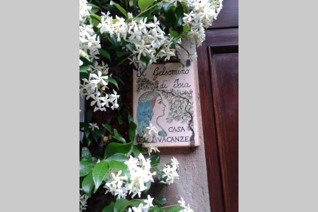 Il Gelsomino Di Isia Villa Orvieto Buitenkant foto